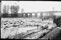 Image of Log jam on the Snohomish River, November 1892