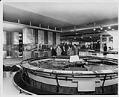 Image of Netherlands exhibit in European Communities Pavilion, Seattle World's Fair, 1962