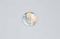 Image of Souvenir pin commemorating the Alaska-Yukon-Pacific Exposition (AYPE), 1909