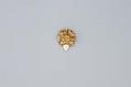 Image of Souvenir pin from the Alaska-Yukon-Pacific Exposition (AYPE), 1909