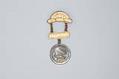 Image of Washington state I.O.O.F. pin featuring the AYPE, 1907-1909