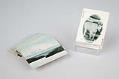 Image of Deck of cards with Pacific Northwest scenes and braille, ca. 1900
