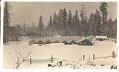 Image of Greenhouses in the snow, Bryn Mawr, Washington, circa 1910