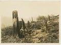 Image of Two men looking at burnt timber after a clear-cut and fire on Bainbridge Island, circa 1900