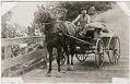 Image of John Dulin and team hauling feed at Arletta, Washington, circa 1905