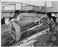 Image of Men with large cedar log at Seattle Cedar Lumber Manufacturing Co. yard, circa 1920