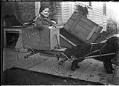 Image of Harold Moen in a dog cart, Seattle, circa 1910