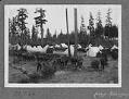 Image of Horses and Tents at Camp Robinson, Seattle, August 1899