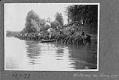 Image of Watering Horses on Green Lake, Seattle, August 1899