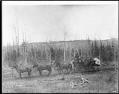 Image of Wagon on the White Pass & Yukon Route, circa 1902