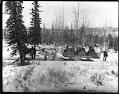 Image of White Pass & Yukon Route sleigh, 1905