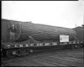 Image of Man and large log on railroad flatcar, circa 1909