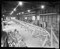 Image of Racing shell under construction, circa 1923