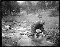Image of Man panning for gold at Blewett Pass, Washington, circa 1919