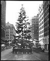 Image of Christmas tree on University Street, circa 1927