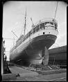 Image of Steamship 