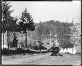 Image of Whaleboats at Bellevue, circa 1922