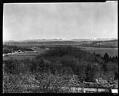 Image of Vashon Island waterfront, circa 1928