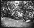 Image of Mrs. J.F. Douglass residence grounds, The Highlands, May 11, 1931