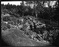 Image of Mrs. J.F. Douglass residence grounds, The Highlands, May 11, 1931