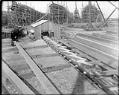 Image of Ship knees produced by a planing machine at a Seattle shipyard , circa 1910