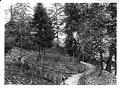 Image of Madrona Park, Seattle, circa 1911