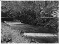 Image of Waterfalls in Ravenna Park, Seattle, circa 1911