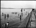 Image of Bathers at West Seattle, 1911