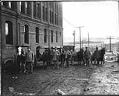 Image of Postal employees and wagons, Seattle, circa 1911