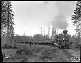 Image of Train hauling logs, circa 1902