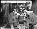 Image of Sailors peeling potatoes at naval training camp, Seattle, circa 1918