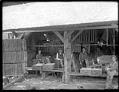 Image of Workmen packing shingles at the Holcom-Hartley mill, circa 1905