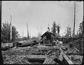 Image of Yarding logs with a steam donkey, circa 1902