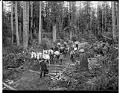 Image of Horse team hauling logs on skid road, circa 1904