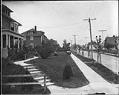 Image of Houses in University District, Seattle, circa 1905