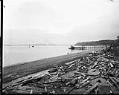 Image of Beach view to the east from Alki Natatorium, circa 1905