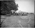 Image of YWCA camp on Bainbridge Island, 1905