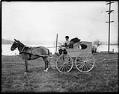 Image of George Yates Dog and Cat Hospital ambulance, Seattle, circa 1910