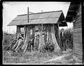 Image of Stump House, circa 1905
