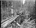 Image of Moving a log down a trailing chute, circa 1910