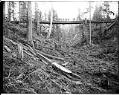 Image of Skidding logs on a temporary bridge, circa 1910