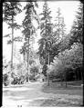 Image of Woodland Park drive, circa 1912