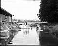 Image of Swimmers at Green Lake, circa 1914