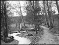 Image of Cowen Park, Seattle, circa 1911