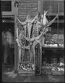 Image of Seafood on display, Seattle, circa 1908