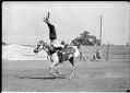 Image of Cowboy trick rider, 1909