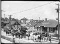 Image of Harry Whitney Treat's horses, Seattle, circa 1910