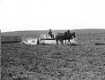 Image of Horse-drawn equipment breaking up raw ground, circa 1913