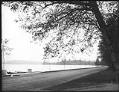 Image of Lake Washington Boulevard, Seattle, circa 1914