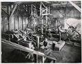 Image of Workers in shingle mill, circa 1915